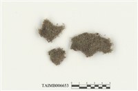 藏品(指葉蘚屬)的圖片